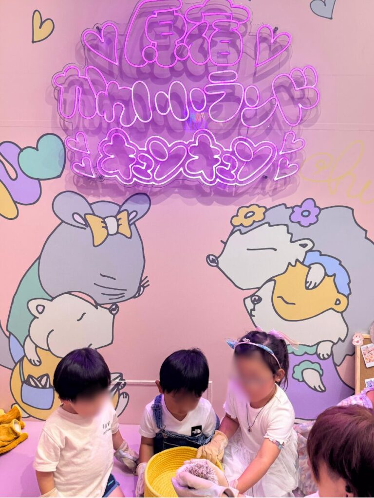 原宿かわいいランドキュンキュン
