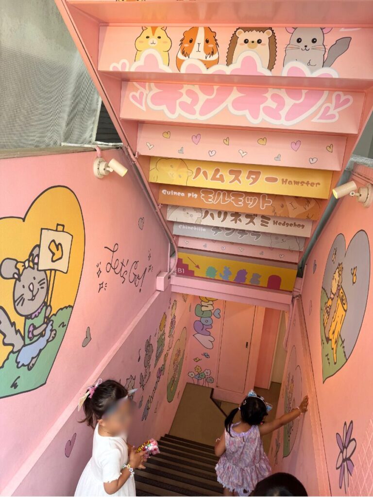 原宿かわいいランドキュンキュンの入口