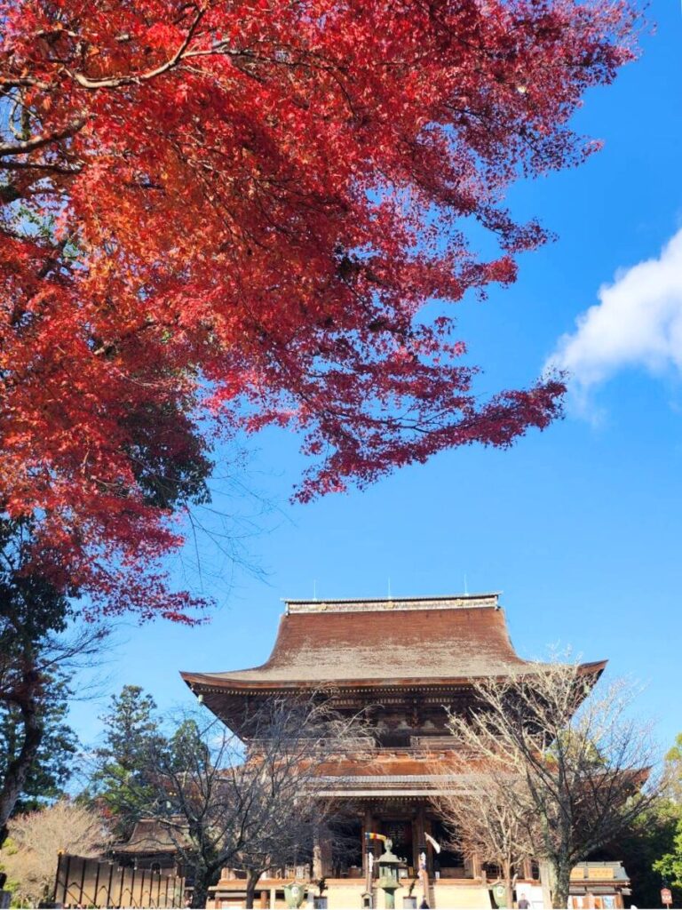 吉野山の紅葉・金峯山寺