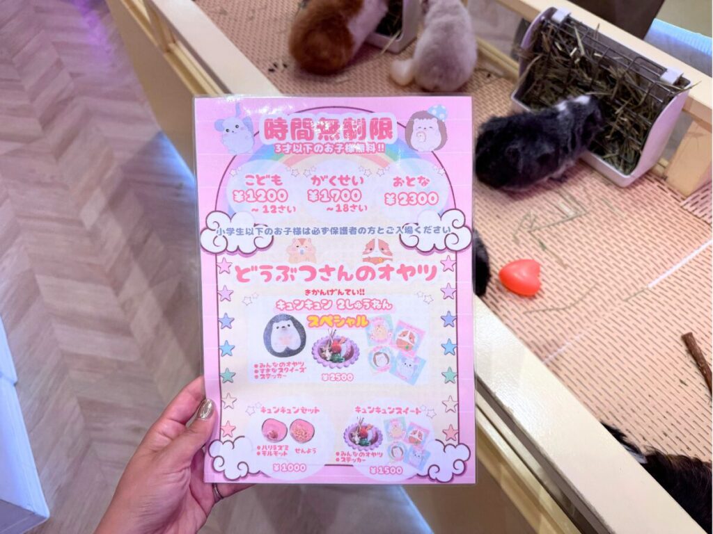 原宿かわいいランドキュンキュンの料金表