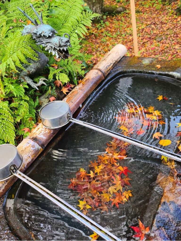 青の交響曲で行く紅葉の吉野山観光
