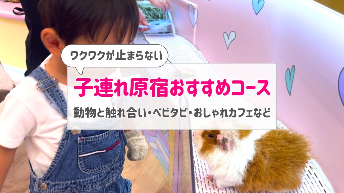 子連れ原宿アイキャッチ