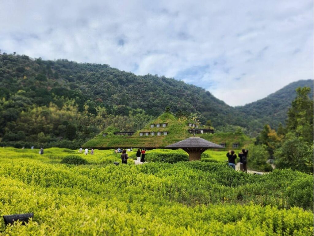 近江八幡のラコリーナ