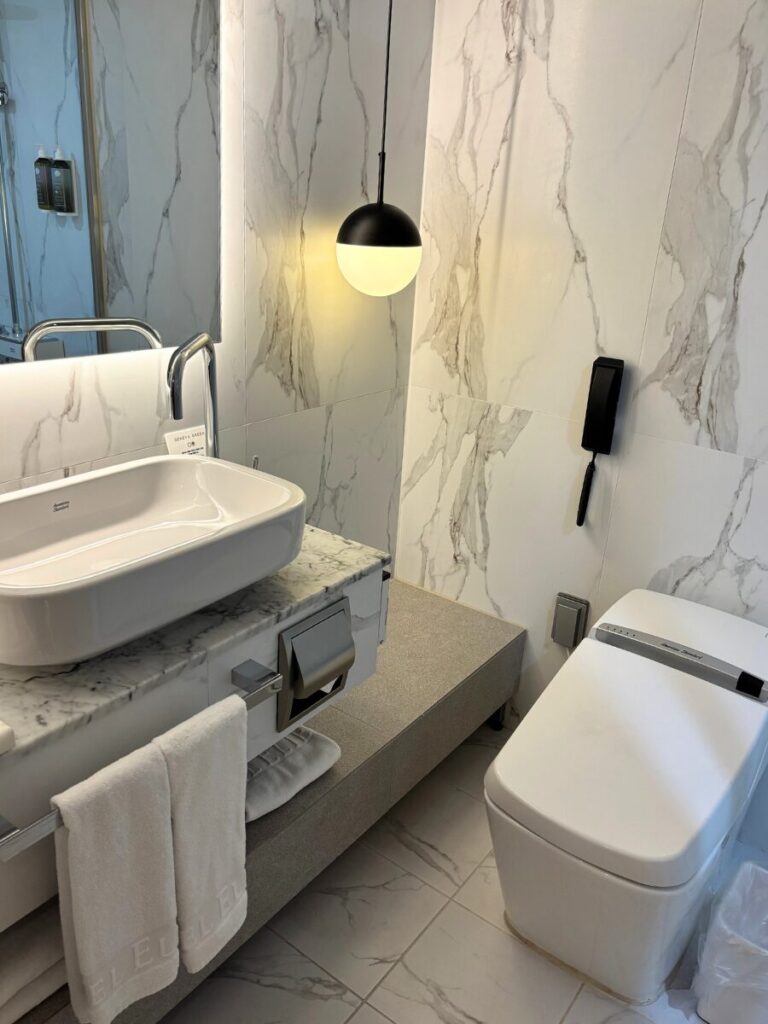 ホテルエリエナ(HOTEL ELIENA)の洗面台とトイレ