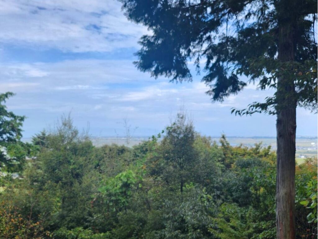 安土桃山城天守閣跡からの景色