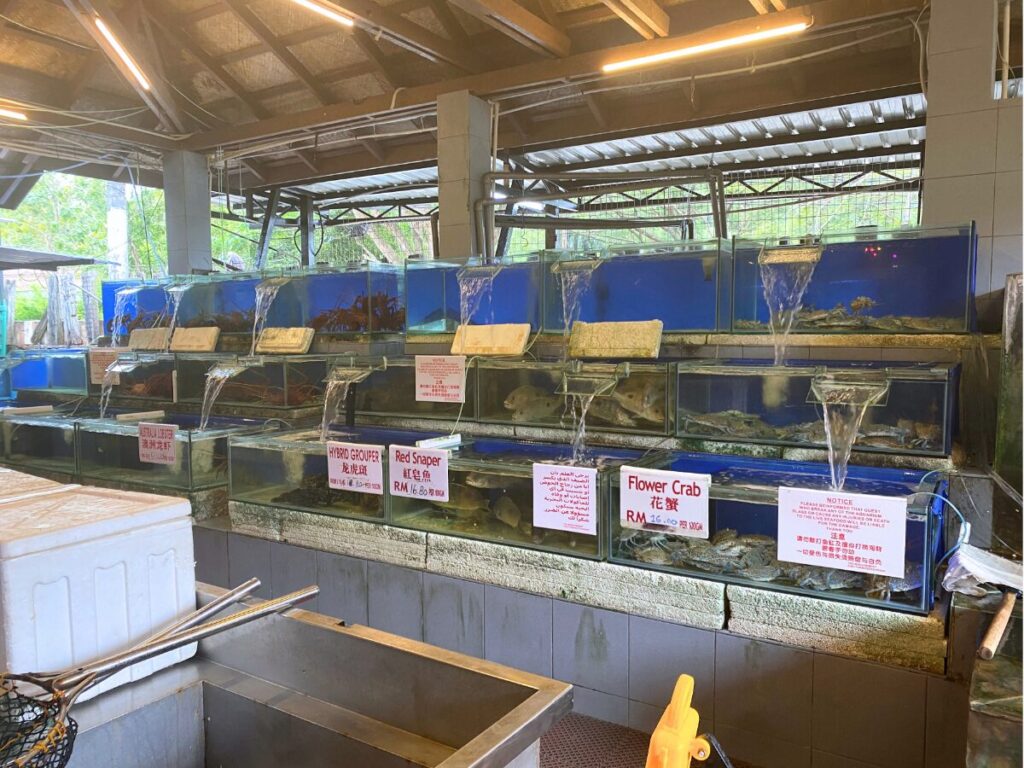 Fish farm restaurant(ランカウイ)