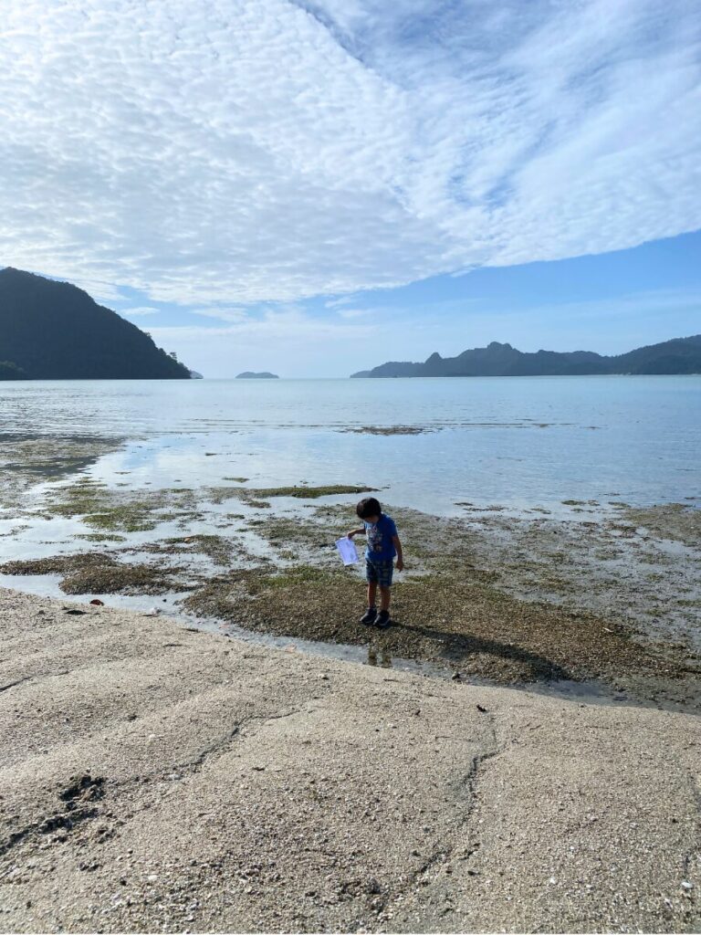 ウエスティンランカウイのキッズアクティビティ”Nature discovery”