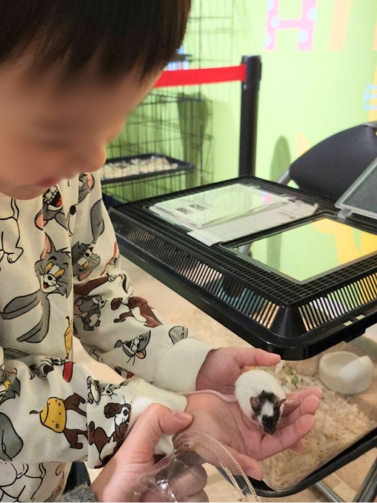 東京スカイツリー