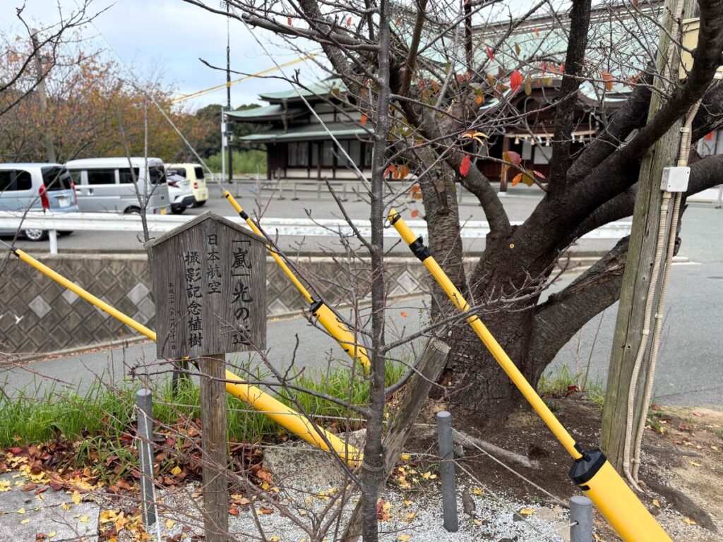 宮地嶽神社の嵐の記念樹