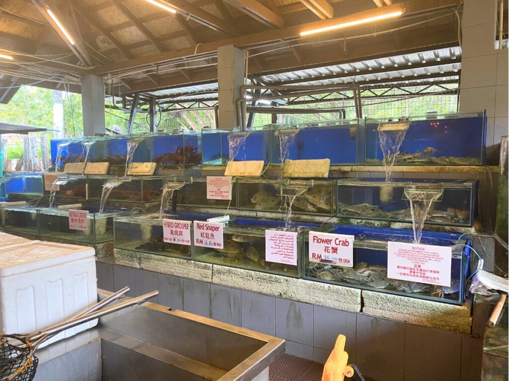 フィッシュファームレストラン(Fish Farm Restaurant)の生け簀